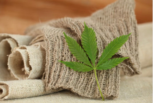 History About Cannabis