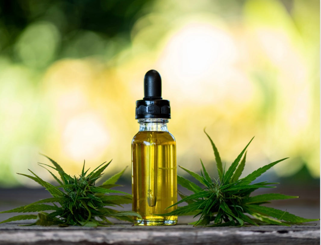 How to Add a CBD Tincture to Your Daily Routine