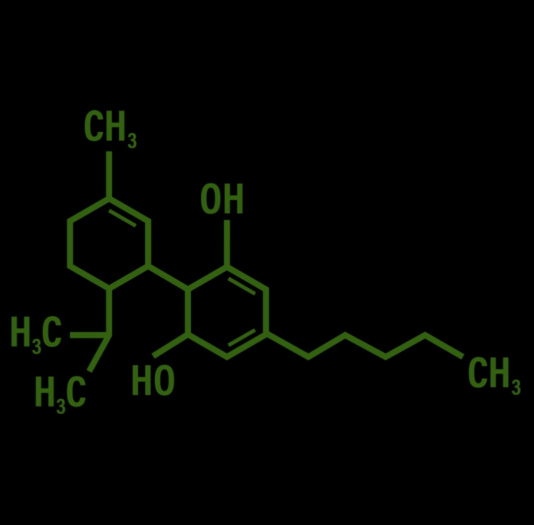 What's the difference between CBD & CBG?